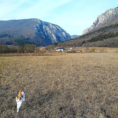 Family Apartman Szadelo - Zadielアパートメント 部屋 写真